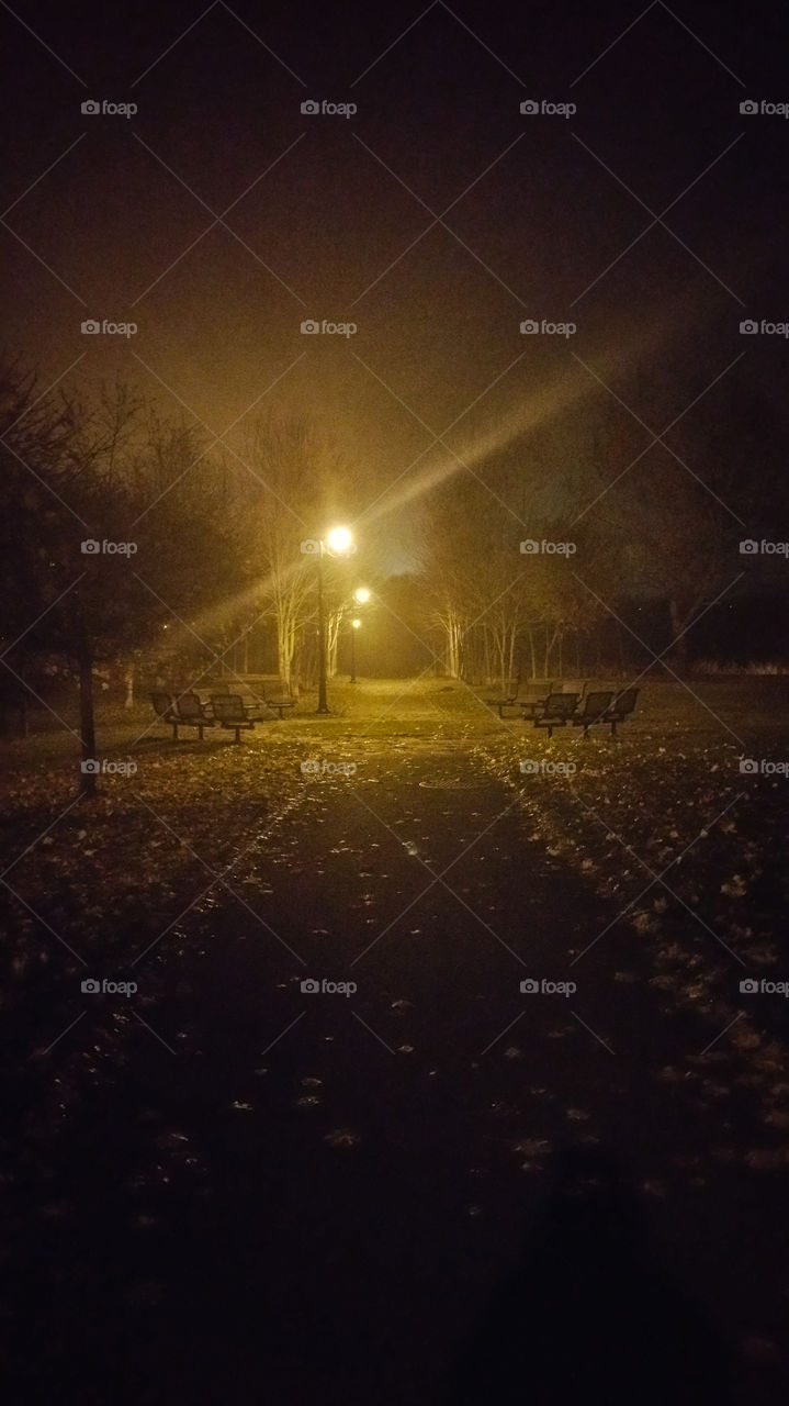foggy park at night
