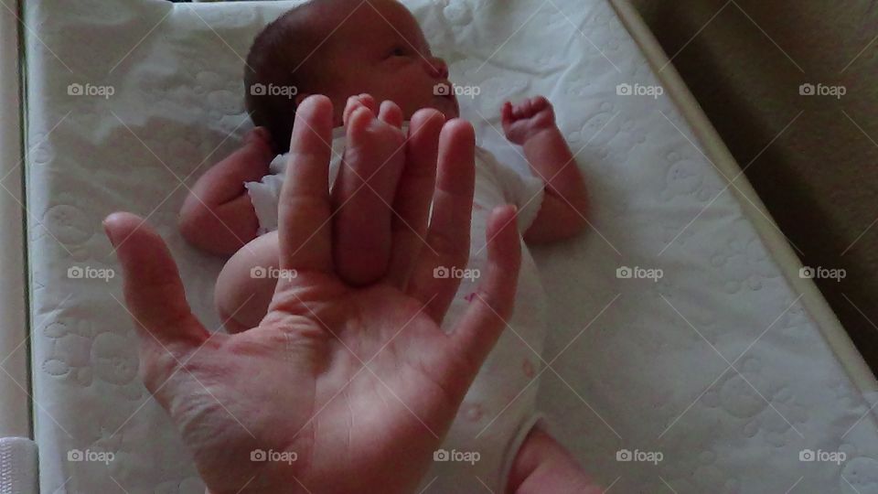 Newborn baby's foot in hand