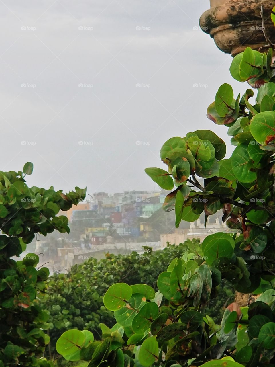 old San Juan.. The colorful homes that where destroyed by the hurricane