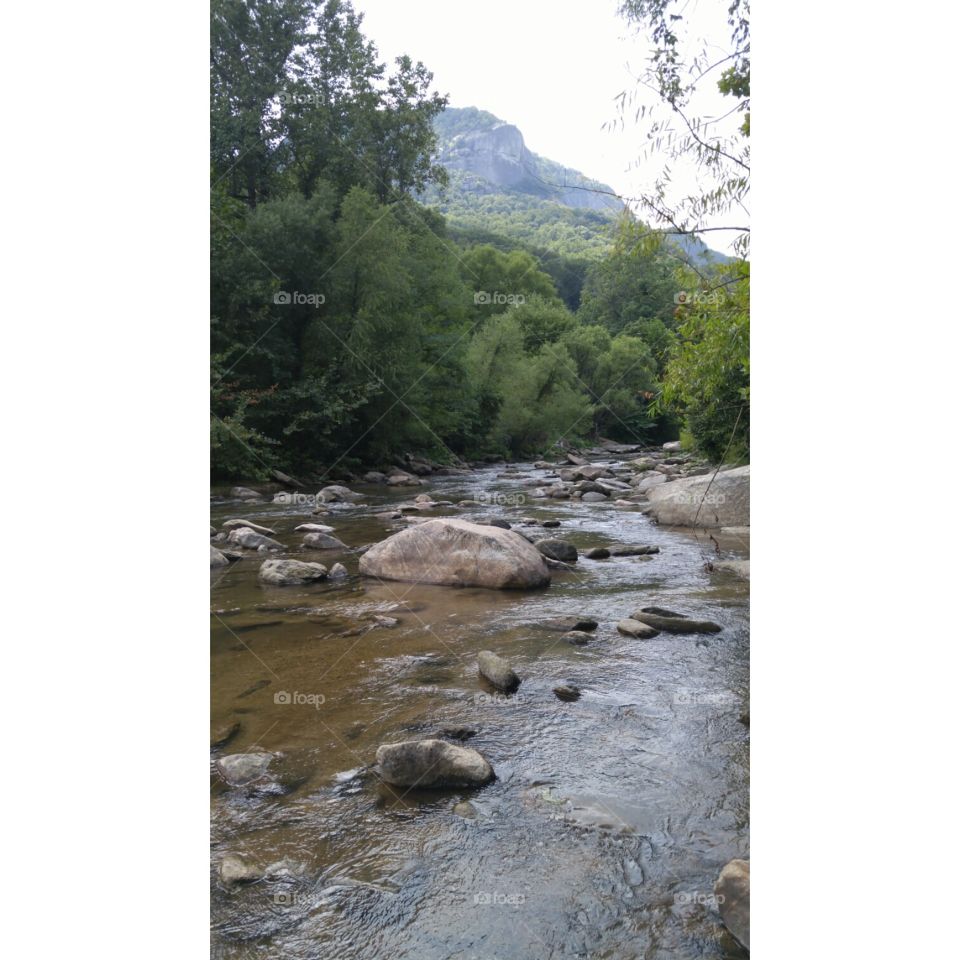 creek. Took this while on vacation. it's the 
Broad River in Chimney Rock, NC