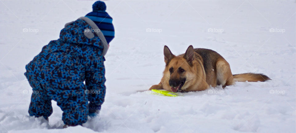 snow baby dog playing by mikedyer