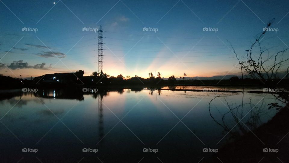 bright and beautiful