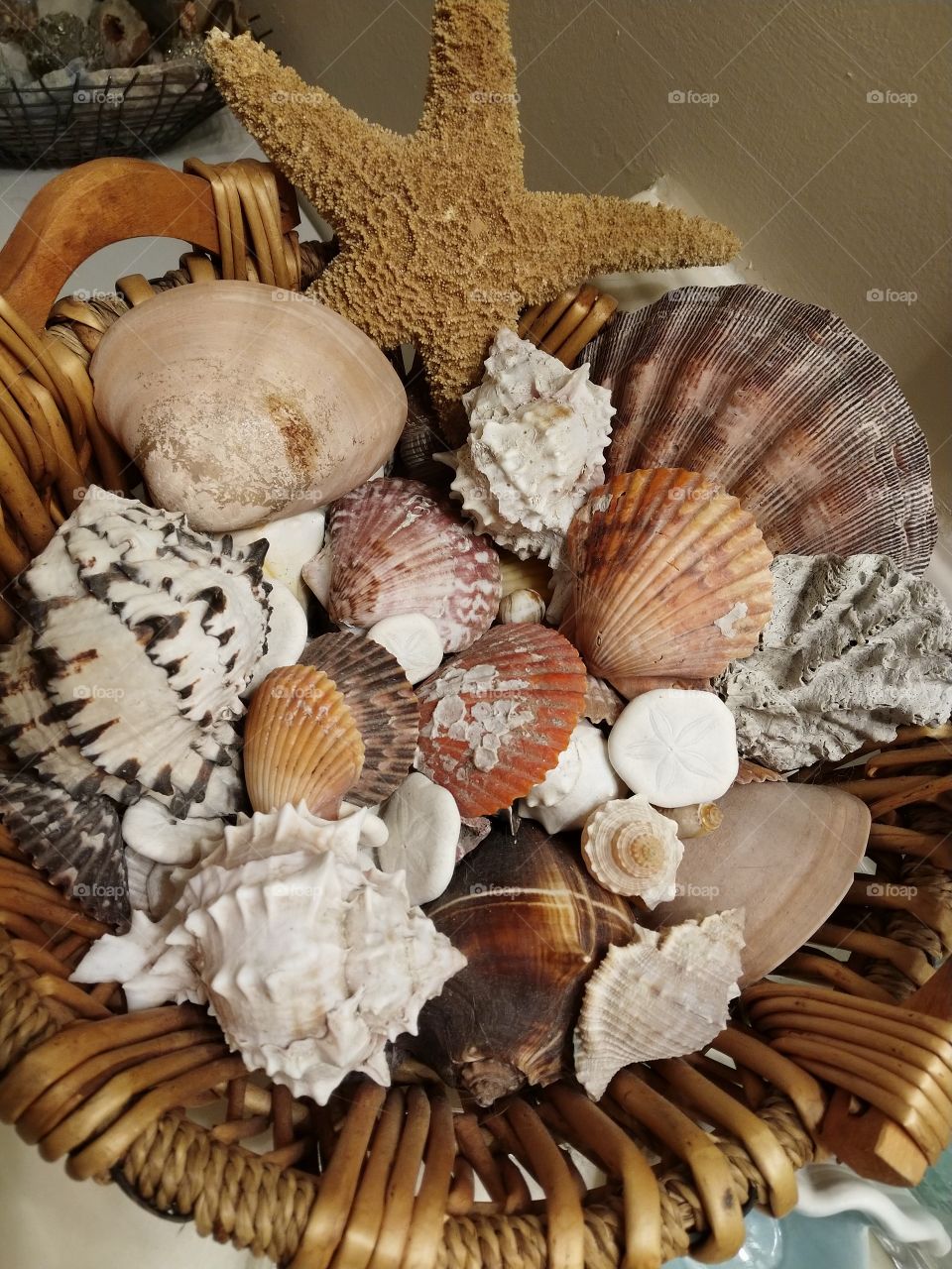 Basket of Sea Shells