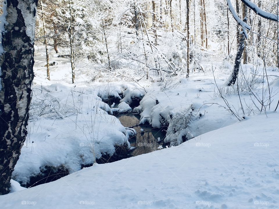 Beautiful creek in snowy woods, liten bäck i skogen med mycket snö en fin vinterdag 