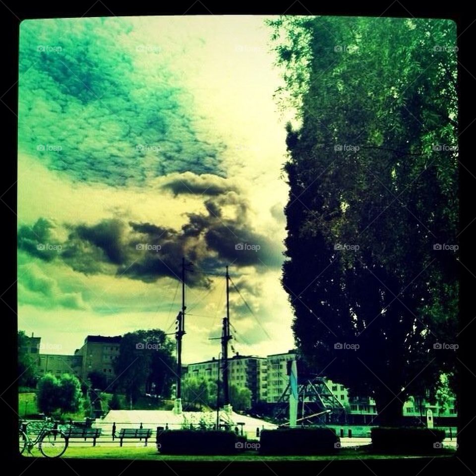 sky tree clouds park by ida.arnkvist