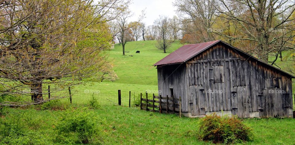 Burkes Garden Va. Barn