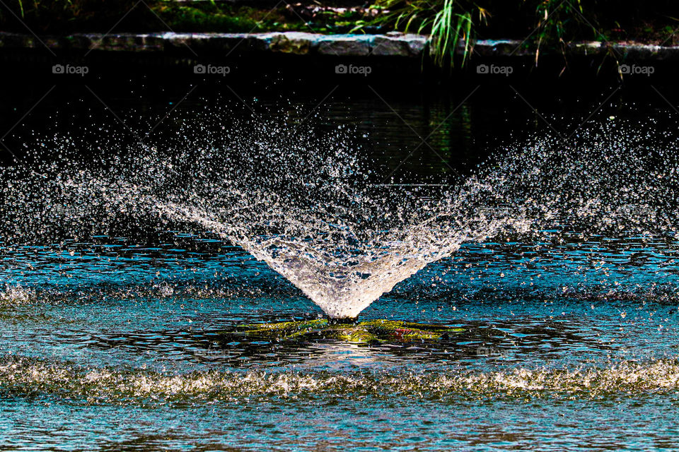 eater fountain in a pond