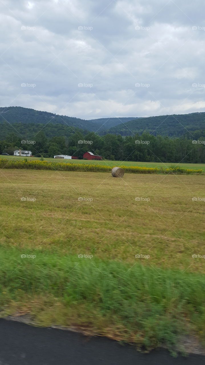 field with hay and barn