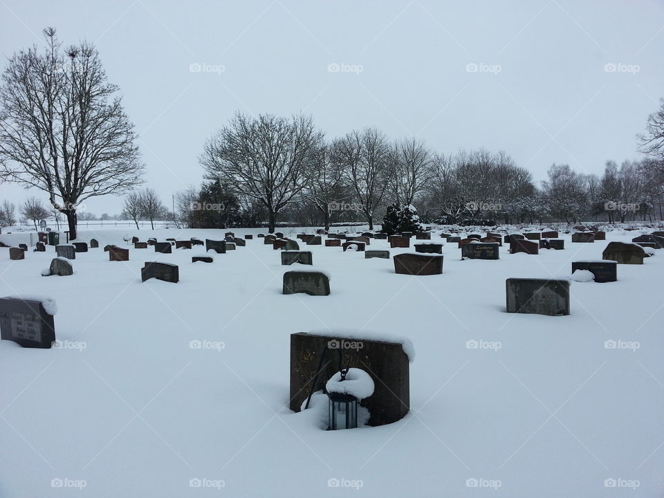 Cemetery
