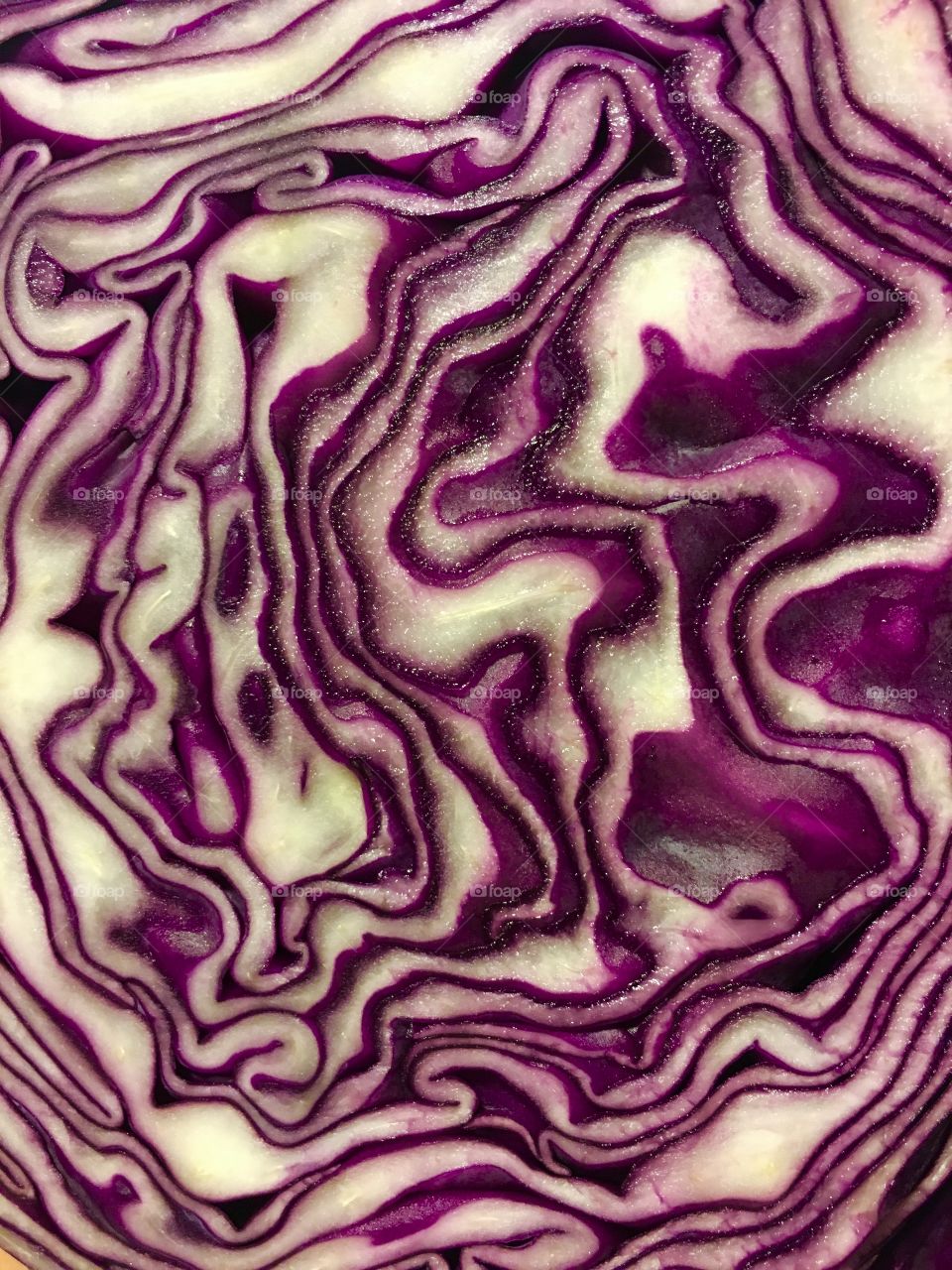 Red cabbage 