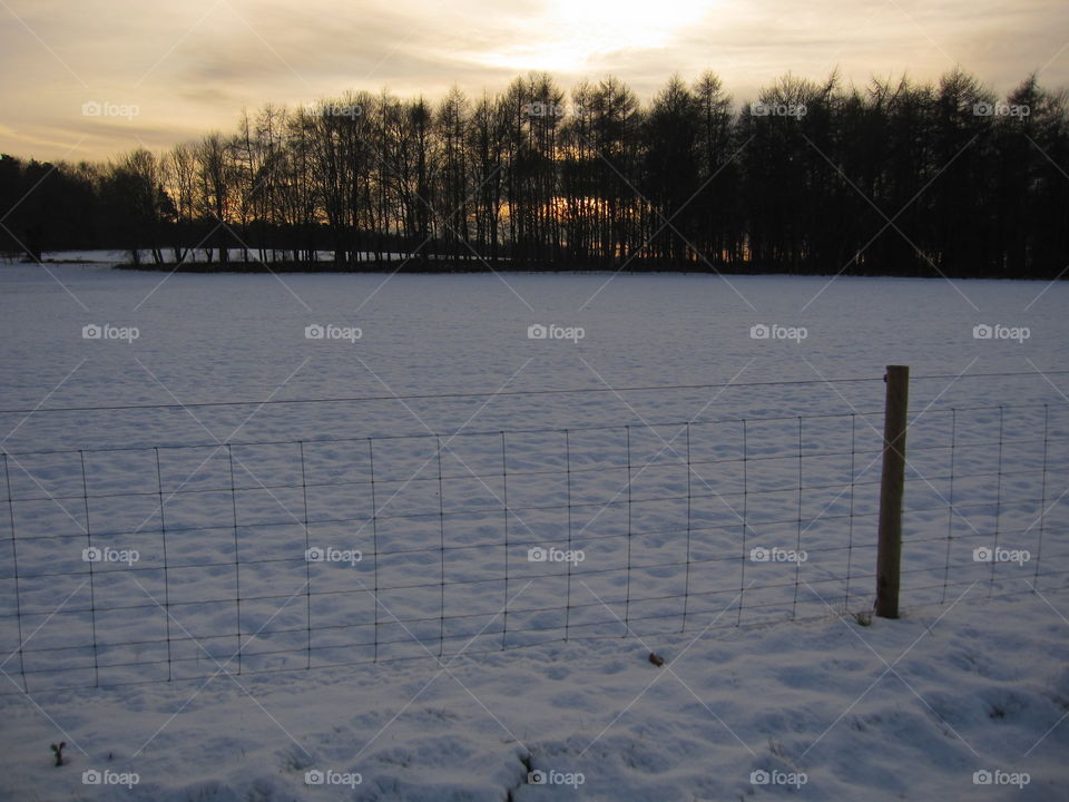 Winter, Snow, Lake, Landscape, Water