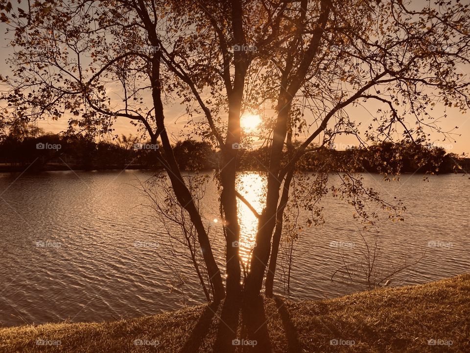 Another Magical day with a Beautiful Sunset Approaching with colors and features. 