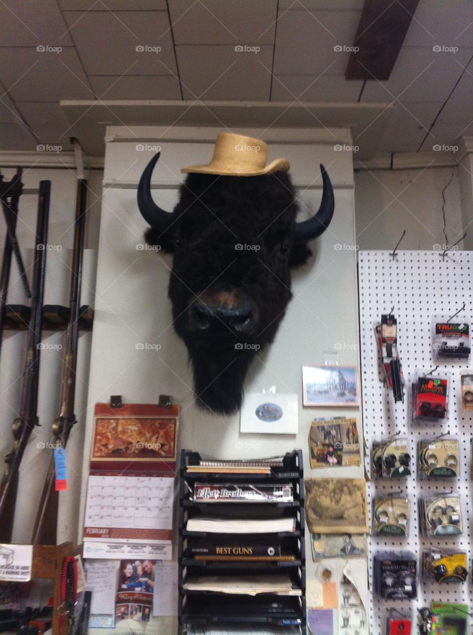 Buffalo Head Trading Post