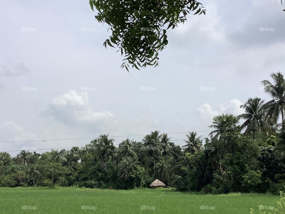 Mobile series: Landscape 