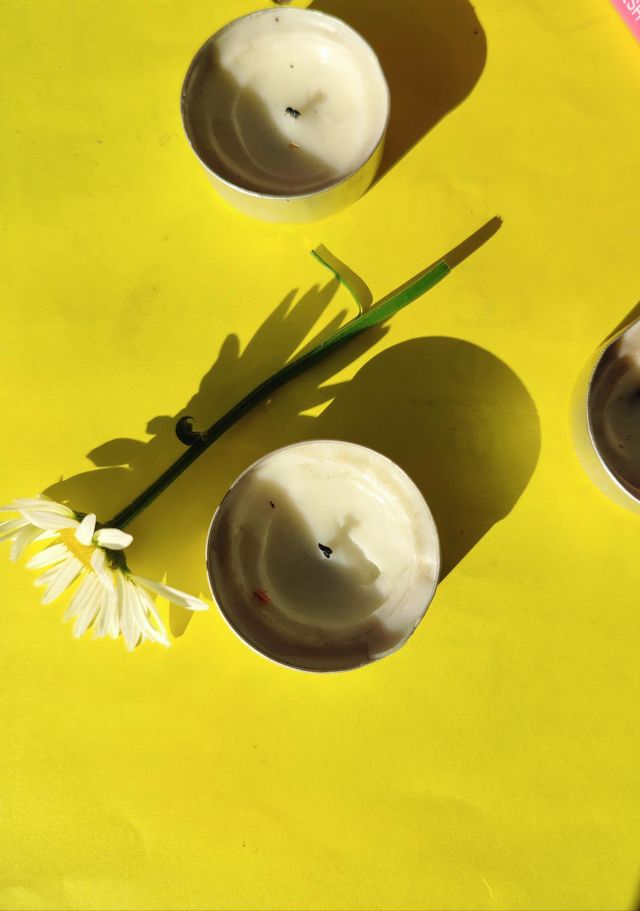 Daisy flower and candles