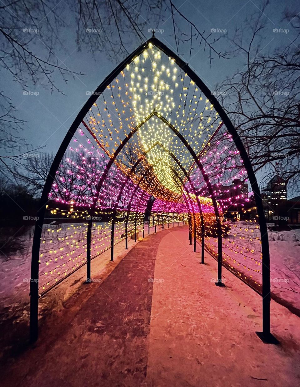 Pathway of lights 