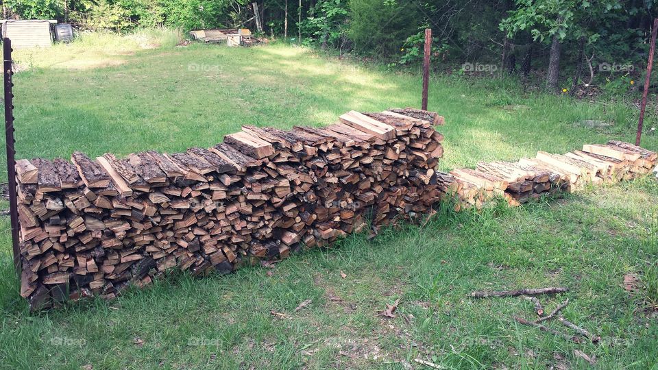 Woodpile. Firewood