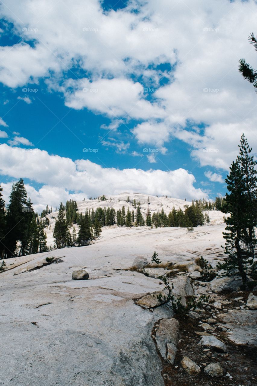 Summer at Yosemite National Park