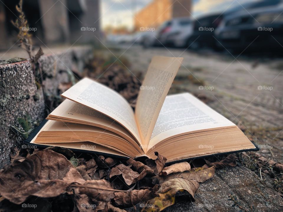 
An open book on dry leaves over a concrete pavement, blending nature with urban life.