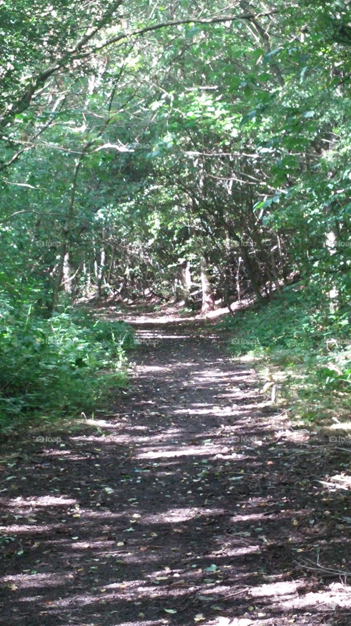 #woodland #Path