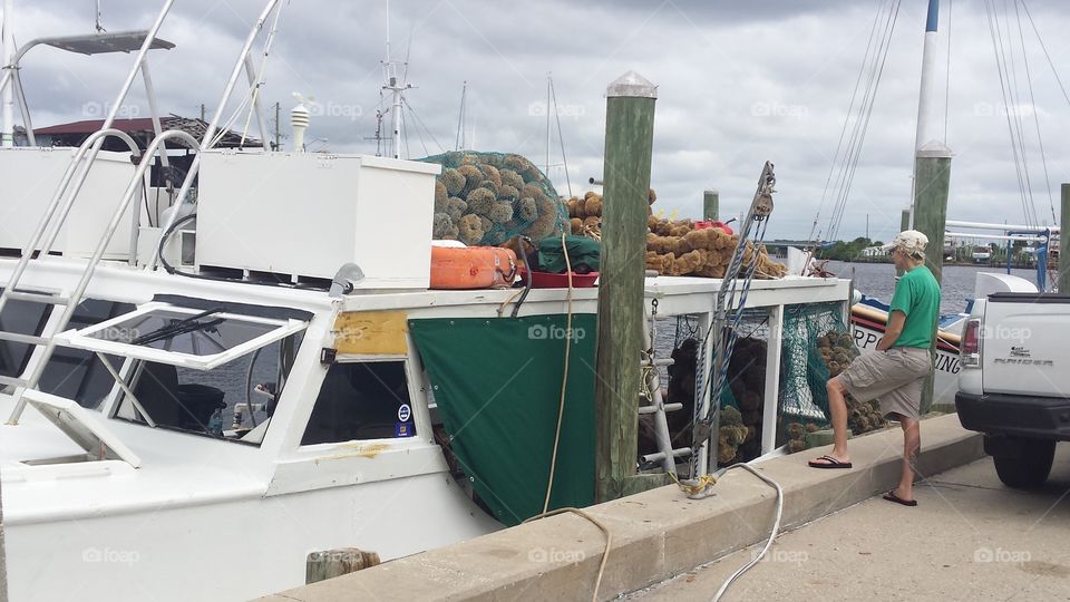 Ship bringing in a day's sponge harvest.