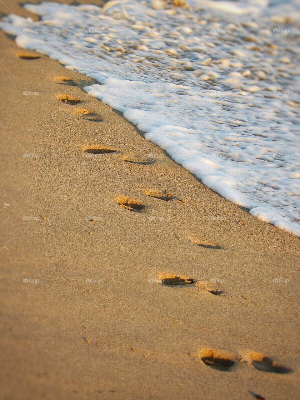 Footprints and Tide